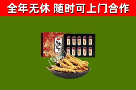 嘉兴回收冬虫夏草价格